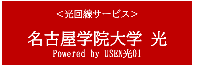 LinkIcon